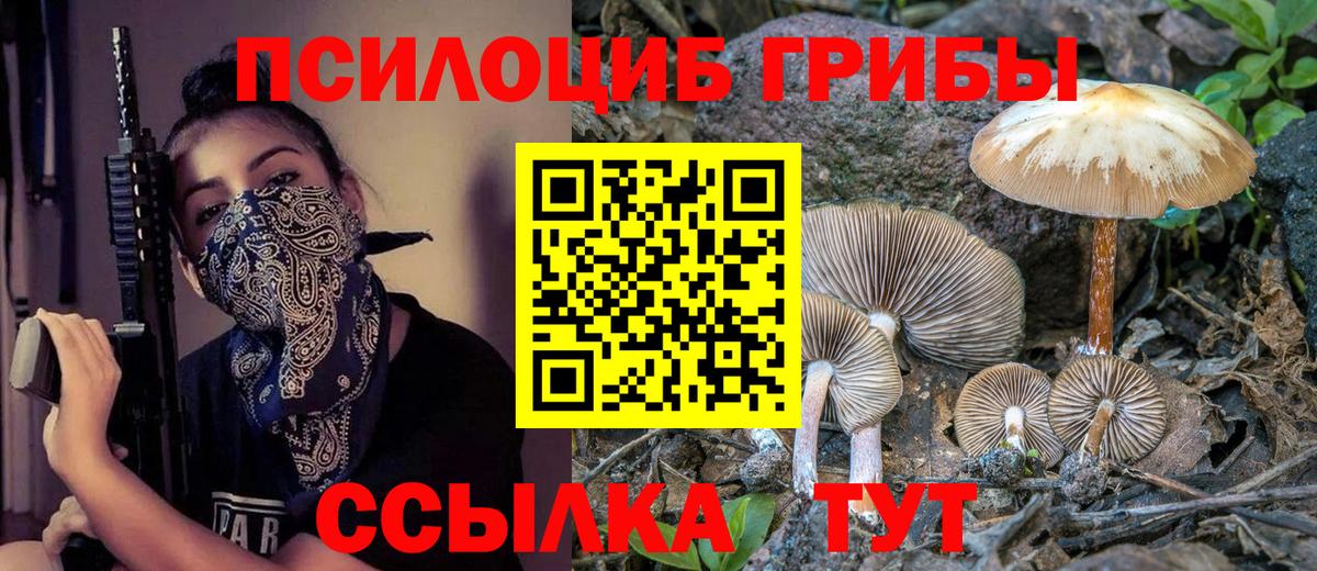 Галлюциногенные грибы Cubensis  Галлюциногенные грибы прущие грибы  Вход с VPN  Малгобек 